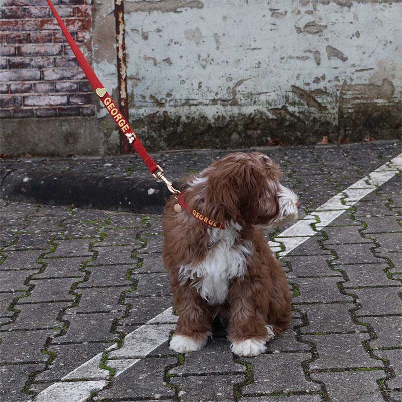 Collare Cuccioli Ruby Gale Rosso Rubino