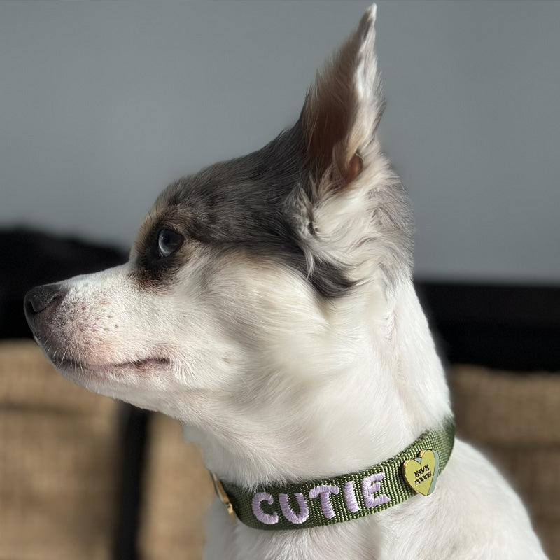 Cuore Fave Pooch
