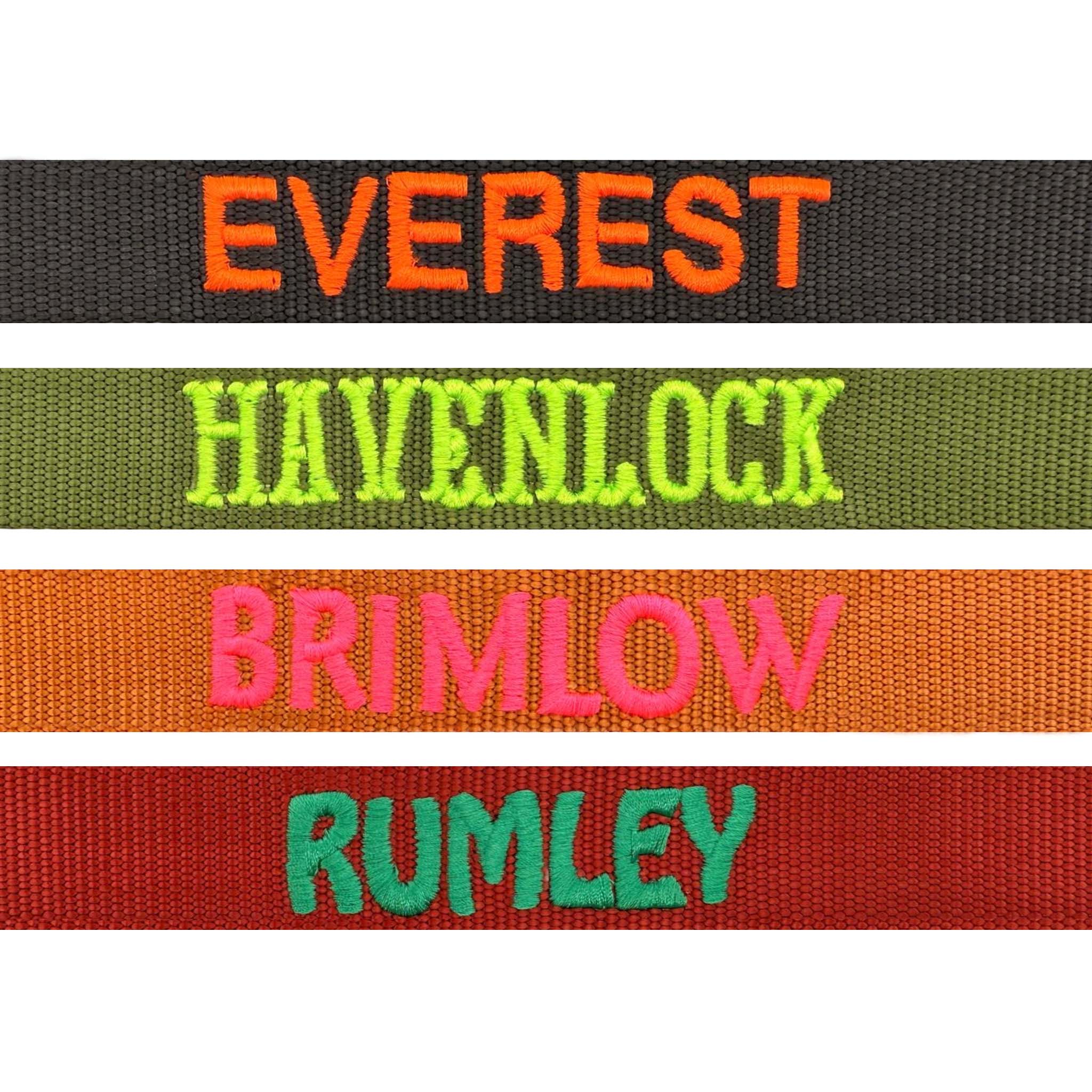 Collare Classico Cani Honey Drift Cognac