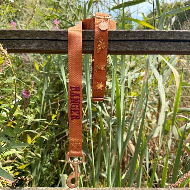 Collare Classico Cani Honey Drift Cognac