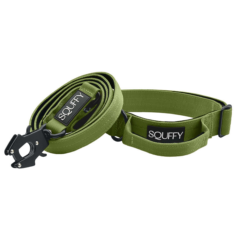 Collare Tattico Cani Moss Forge Verde Oliva