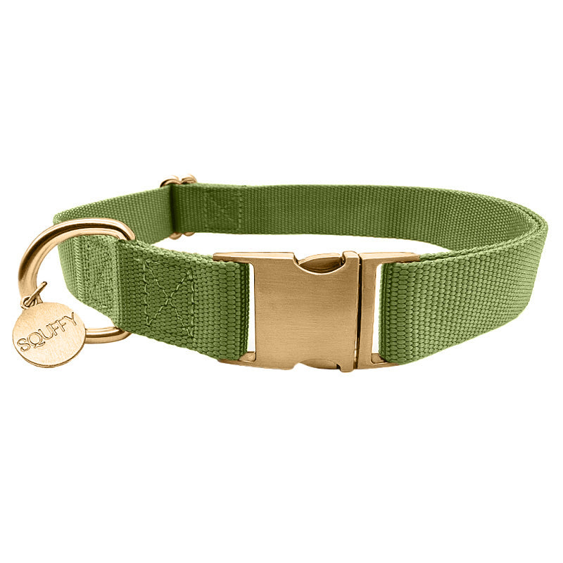 Collare Classico Cani Moss Breeze Verde Oliva