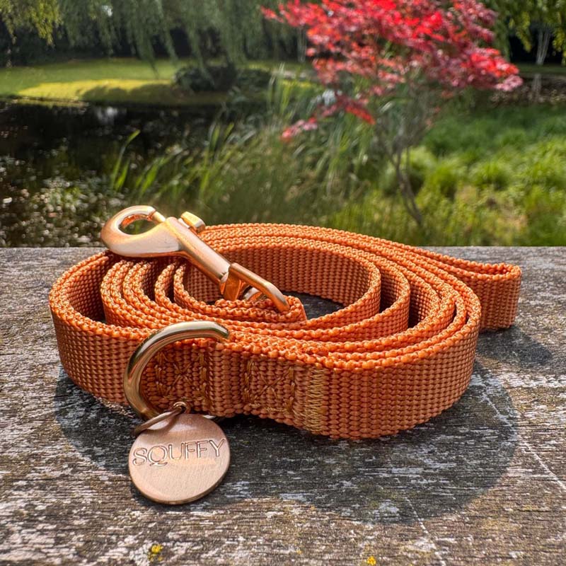 Guinzaglio Cuccioli Honey Drift Cognac