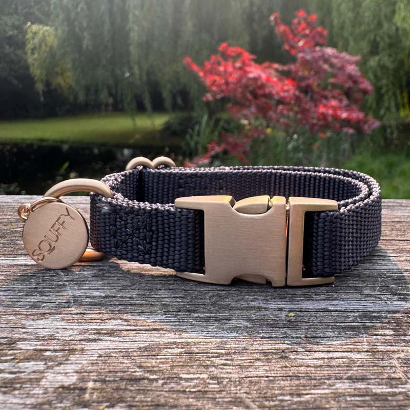 Collare Cuccioli Raven Illume Nero