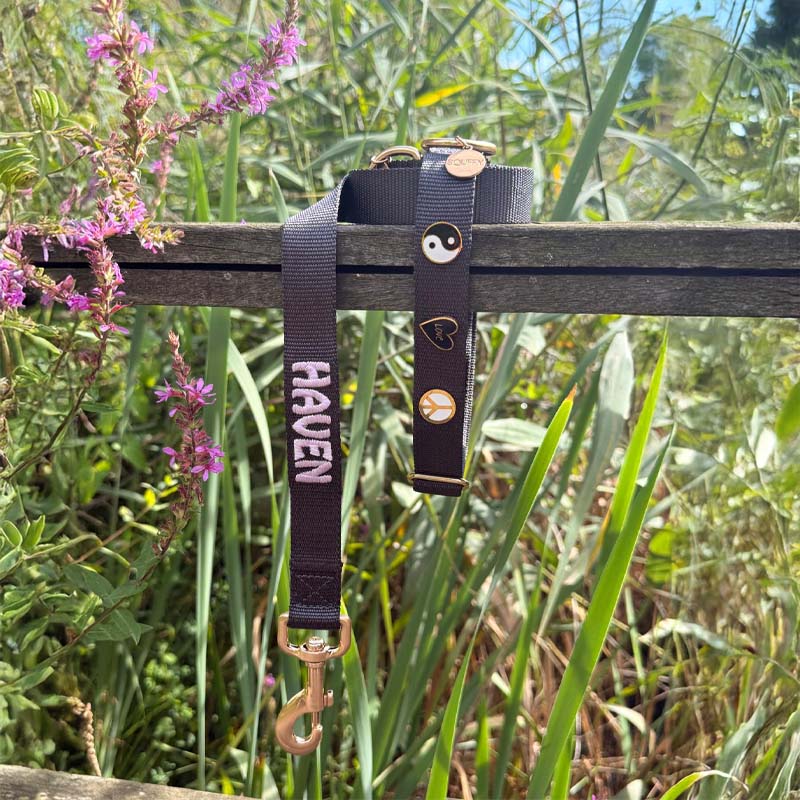 Collare Classico per Cani Raven Illume Nero