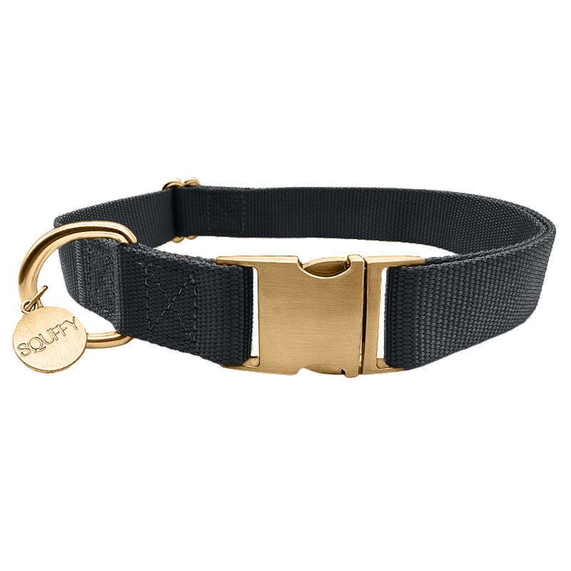 Collare Classico Cani Raven Illume Nero