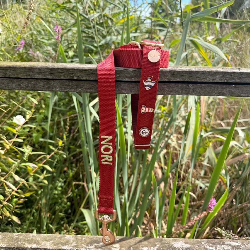 Collare Classico Cani Ruby Gale Rosso Rubino