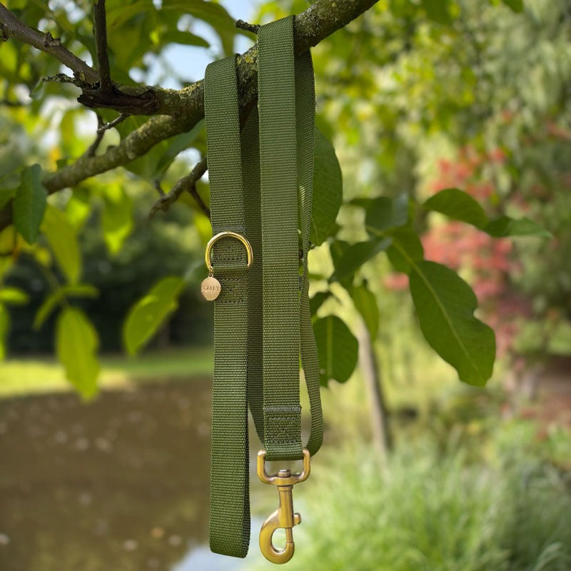 Collare Classico Cani Moss Breeze Verde Oliva