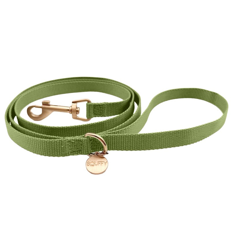 Collare Classico Cani Moss Breeze Verde Oliva