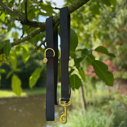 Collare Classico per Cani Raven Illume Nero