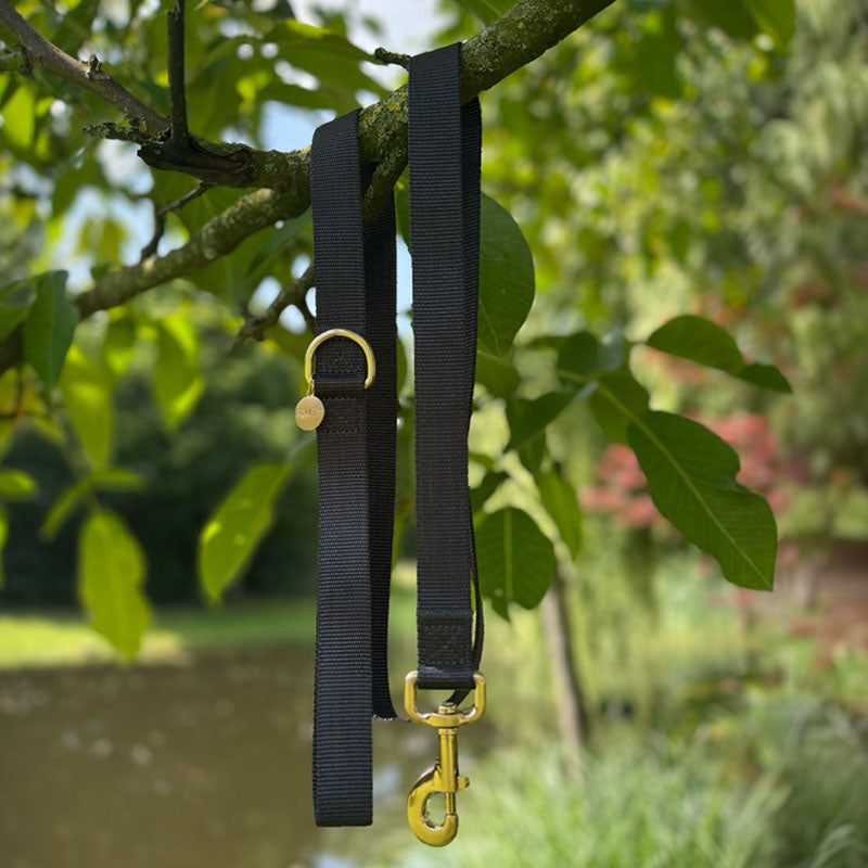 Collare Classico per Cani Raven Illume Nero