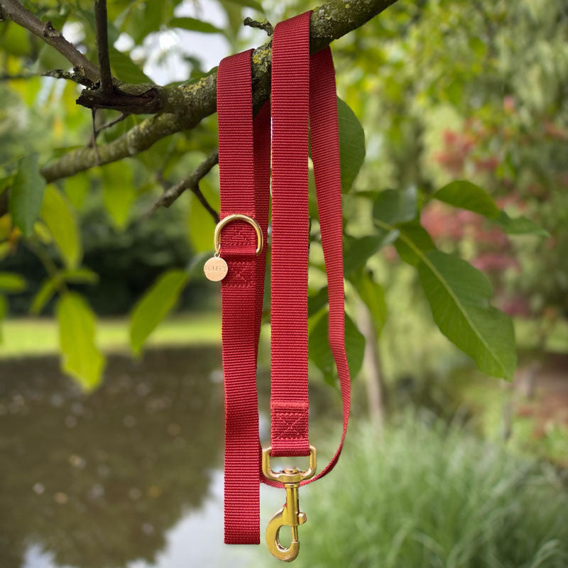 Guinzaglio Classico Cani Ruby Gale Rosso Rubino