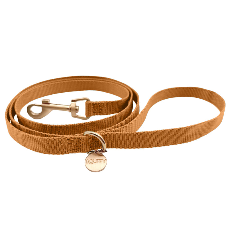 Collare Classico Cani  Honey Drift Cognac