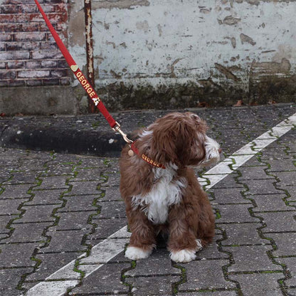 Collare Cuccioli Ruby Gale Rosso Rubino