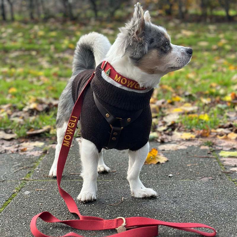 Guinzaglio Classico Cani Ruby Gale Rosso Rubino