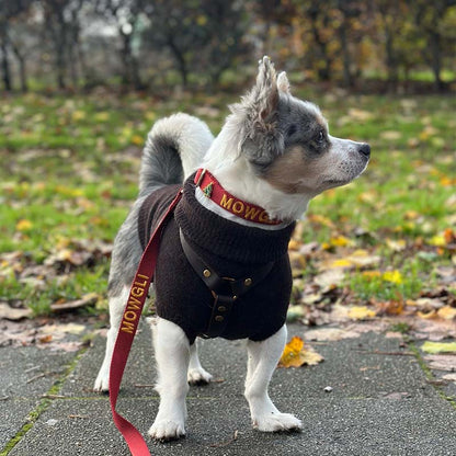 Collare Classico Cani Ruby Gale Rosso Rubino