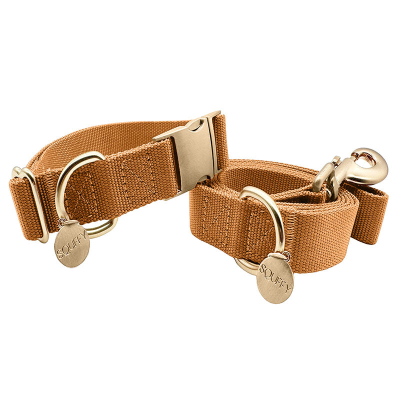 Collare Classico Cani Honey Drift Cognac