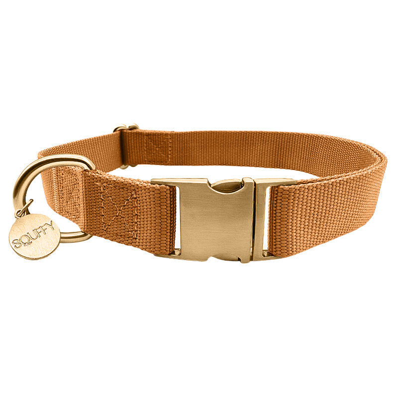 Collare Classico Cani Honey Drift Cognac