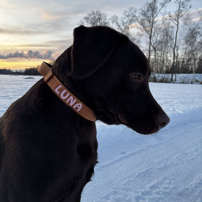 Collare Tattico Cani Honey Maze Cognac