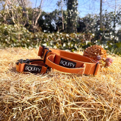 Collare Tattico Cani Honey Maze Cognac