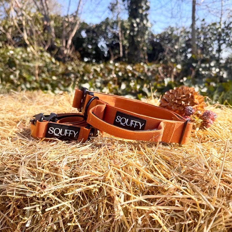 Collare Tattico Cani Honey Maze Cognac