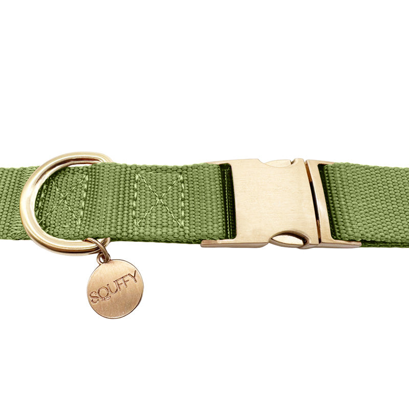 Collare Classico Cani Moss Breeze Verde Oliva