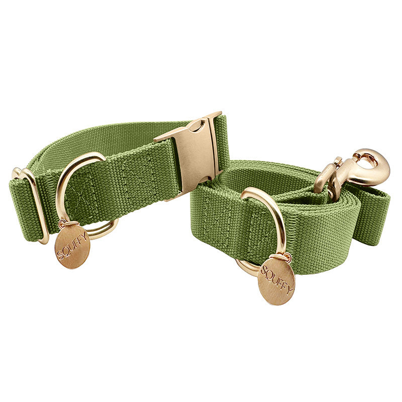 Collare Classico Cani Moss Breeze Verde Oliva