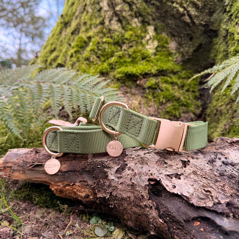 Collare Classico Cani Moss Breeze Verde Oliva
