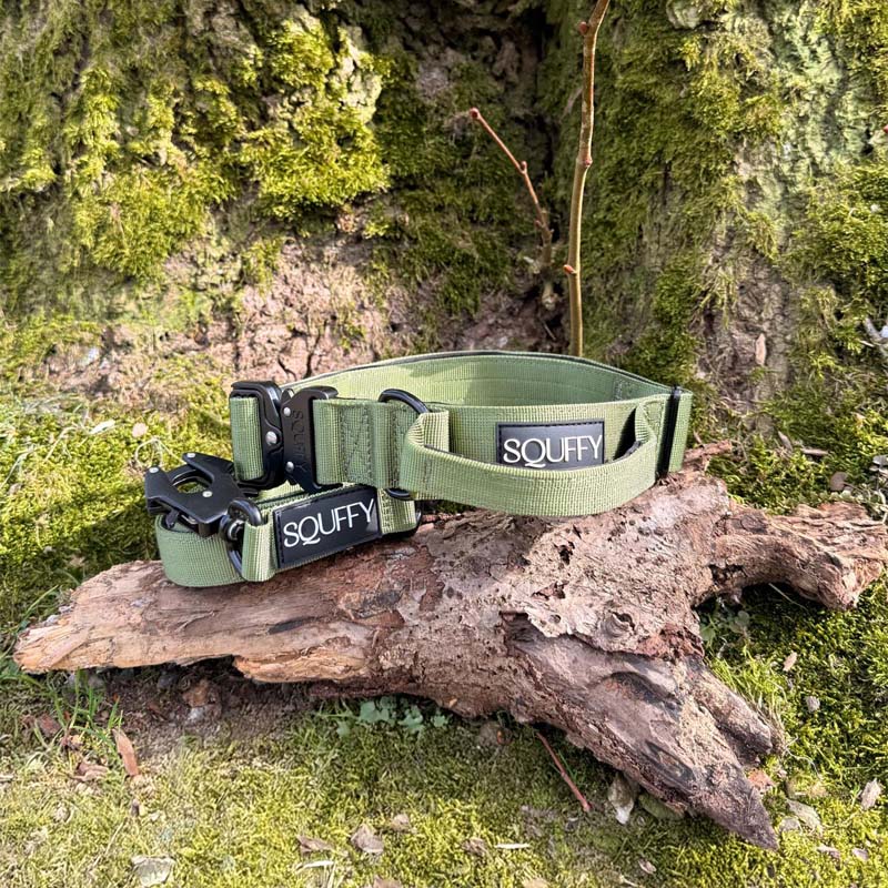 Collare Tattico Cani Moss Forge Verde Oliva