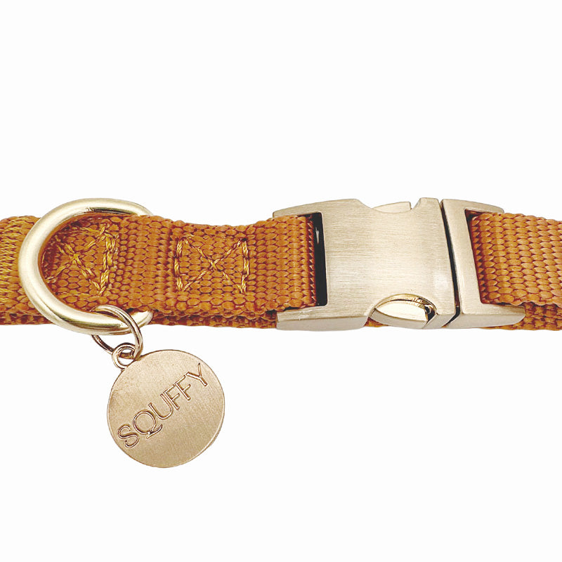 Collare Cuccioli Honey Drift Cognac