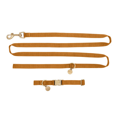 Collare Cuccioli Honey Drift Cognac