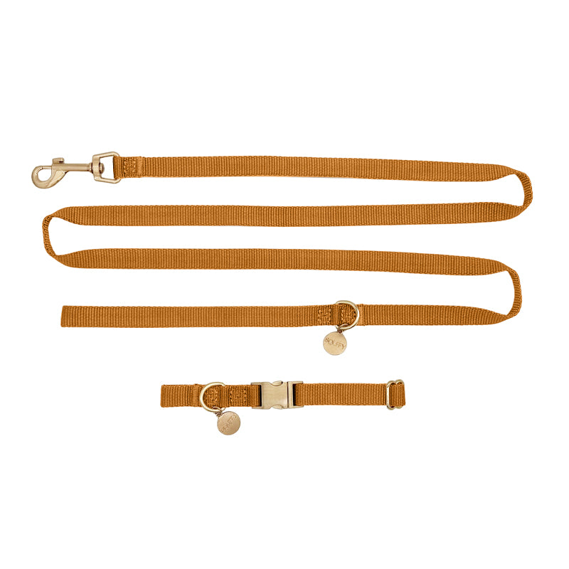 Collare Cuccioli Honey Drift Cognac