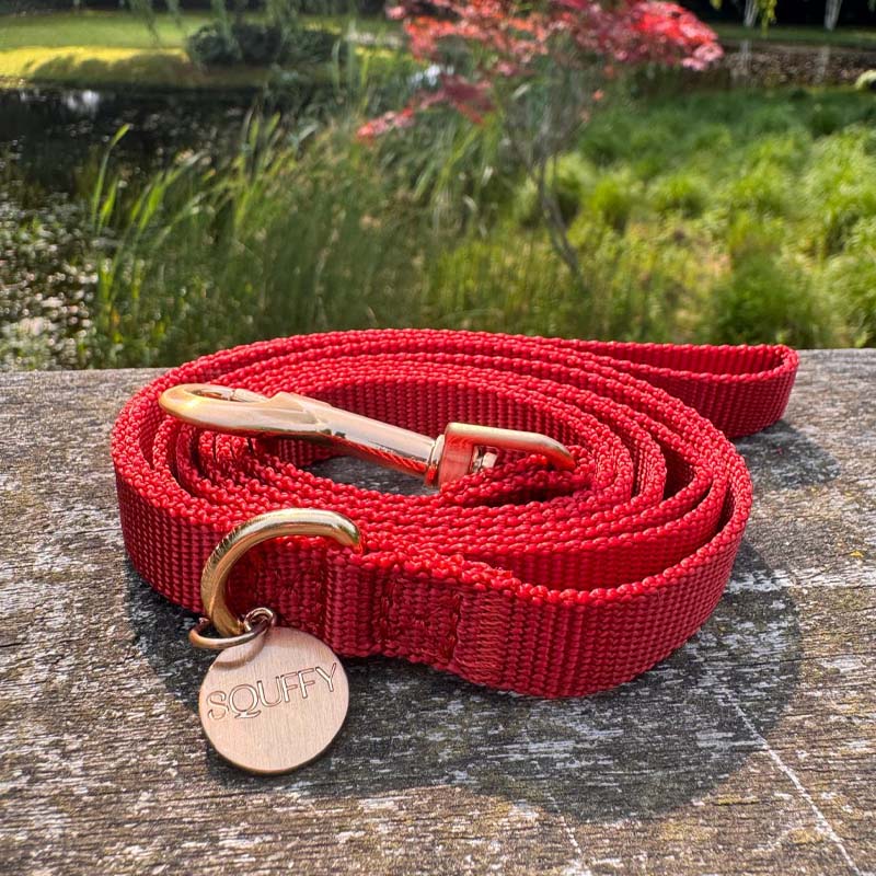 Guinzaglio Cuccioli Ruby Gale Rosso Rubino