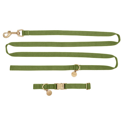 Collare Cuccioli Moss Breeze Verde Oliva