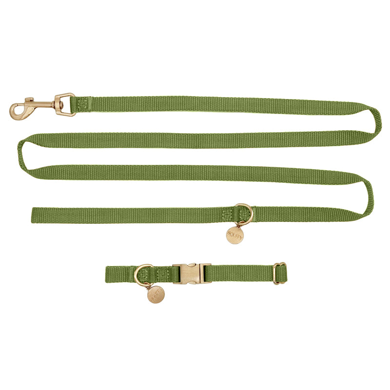 Collare Cuccioli Moss Breeze Verde Oliva