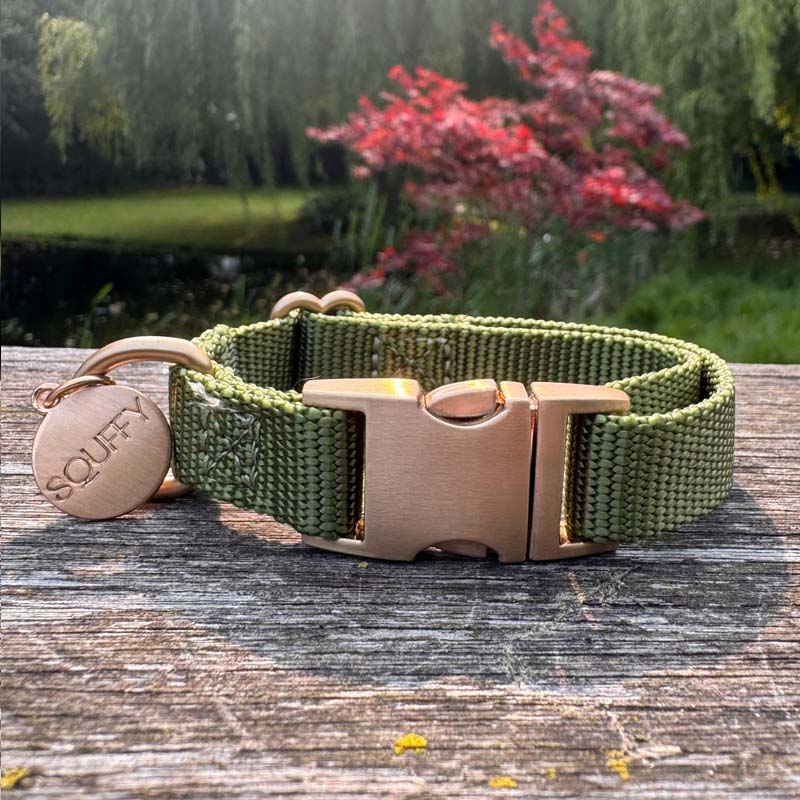 Collare Cuccioli Moss Breeze Verde Oliva