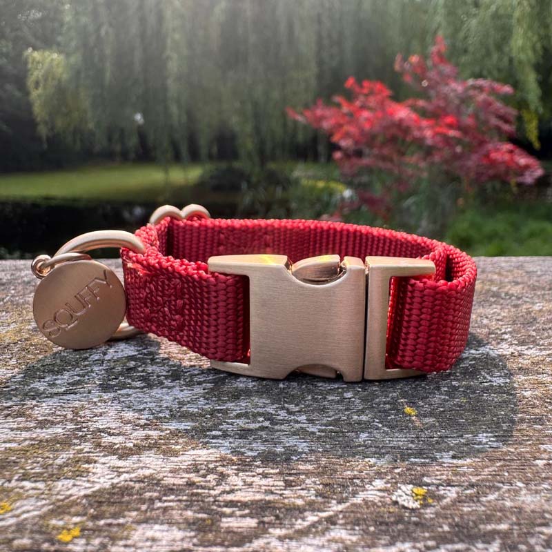 Collare Cuccioli Ruby Gale Rosso Rubino