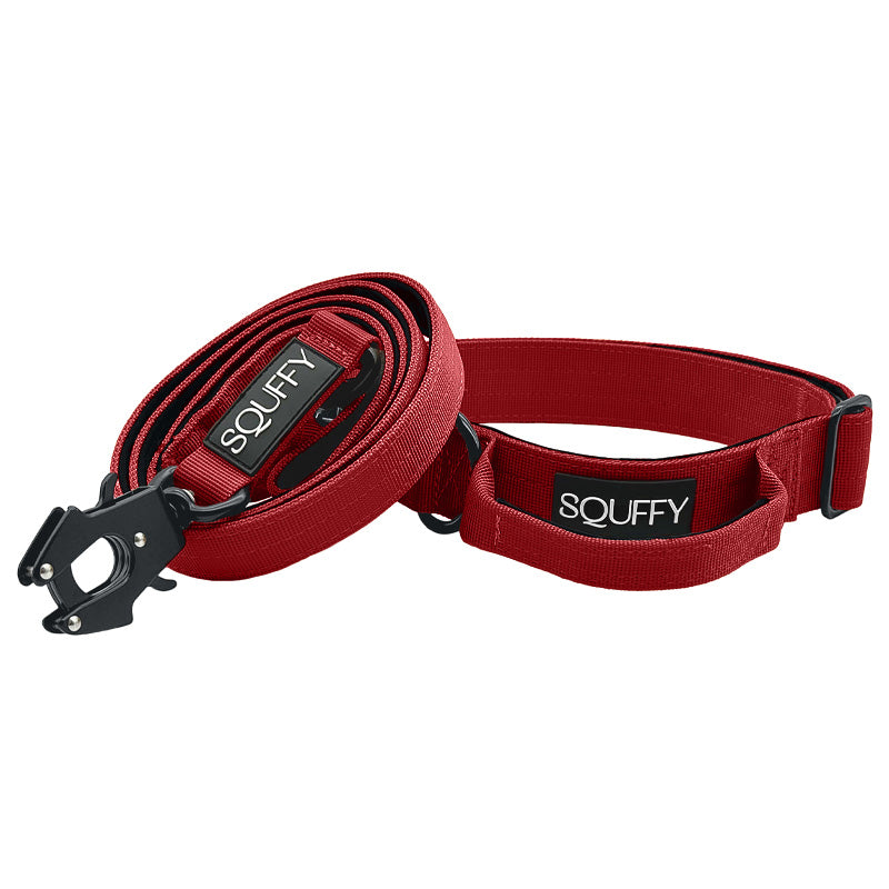 Collare Tattico Cani Ruby Vandal Rosso Rubino