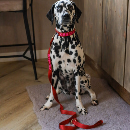 Guinzaglio Classico Cani Ruby Gale Rosso Rubino