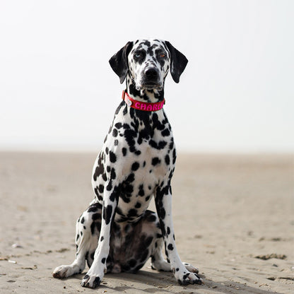 Collare Classico Cani Ruby Gale Rosso Rubino