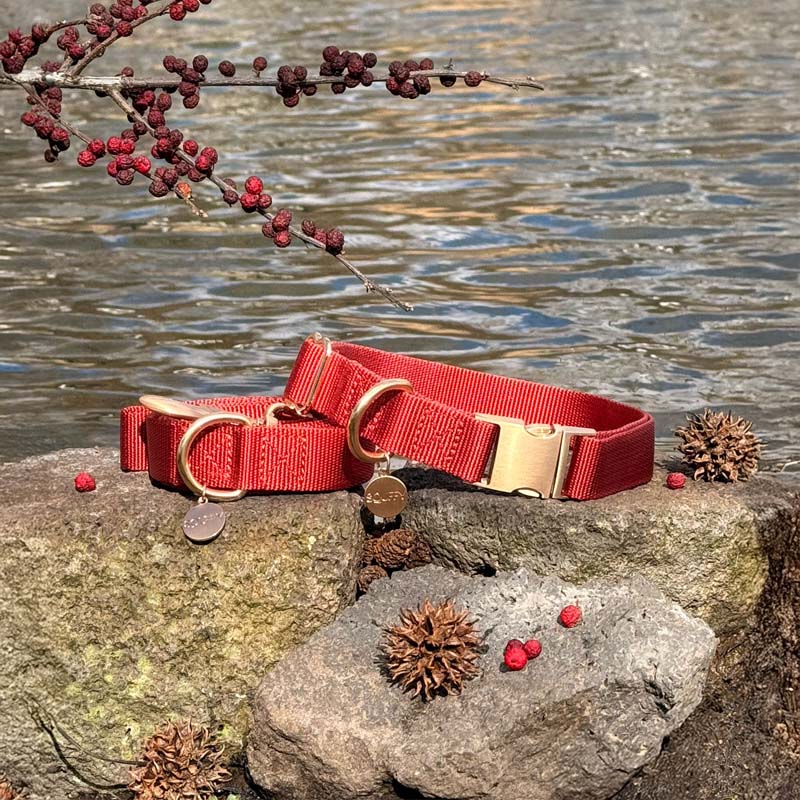 Collare Classico Cani Ruby Gale Rosso Rubino