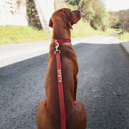 Guinzaglio Classico Cani Ruby Gale Rosso Rubino