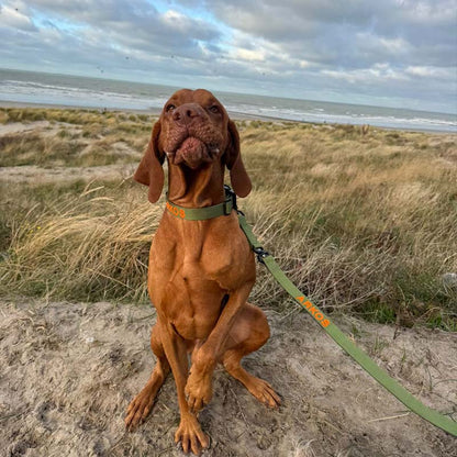 Guinzaglio Tattico Cani Moss Forge Verde Oliva