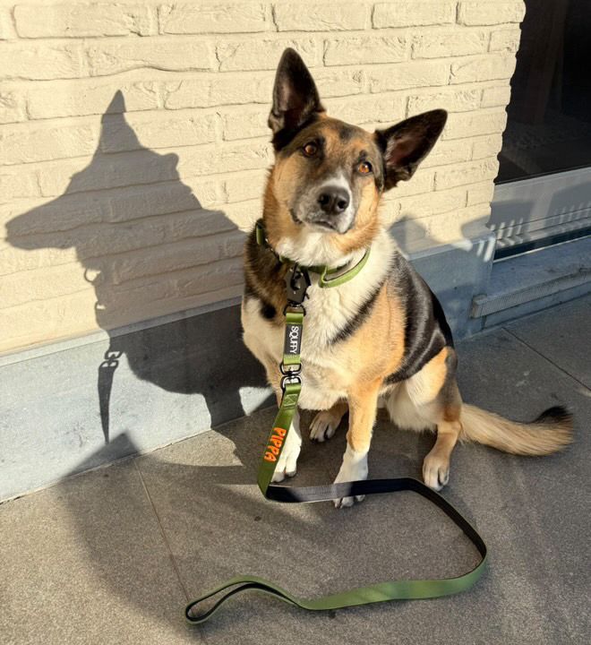 <p>Customer Experiences</p>